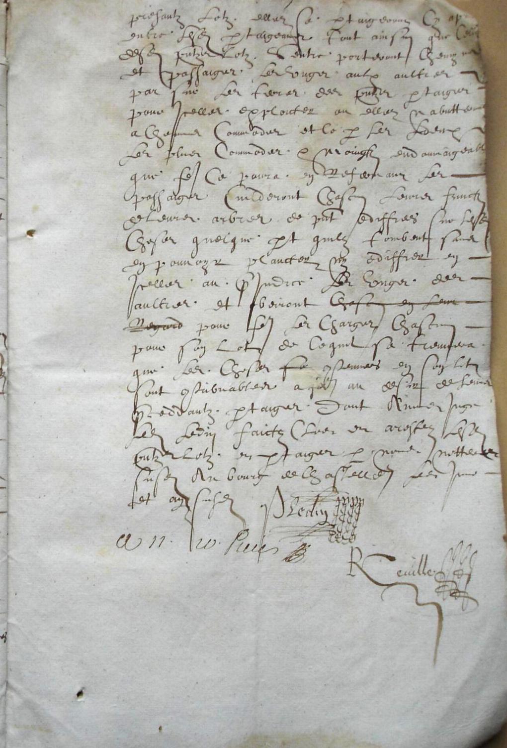 Cohon-F_1619 (15).JPG